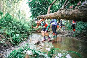 BIB: 
                            <button type="button" onclick="openModal(25517800)" class="btn btn-primary btn-sm float-right btn-popup" data-toggle="modal" data-target=".modal-high-quality">
                        <i class="fas fa-shopping-cart"></i> Add to Cart
                    </button>
                                            <button type="button" onclick="isThisMe(25517800, true)" class="btn btn-success btn-sm float-right btn-popup btn-isme hidden" data-toggle="tooltip" data-placement="bottom" title="นี่คือรูปของคุณใช่ไหม คลิกที่นี่เพื่อเอาเข้าอัลบั้ม">
                        <i class="fas fa-plus"></i> Add to album
                    </button>
                    <button type="button" onclick="isThisMe(25517800, false)" class="btn btn-warning btn-sm float-right btn-popup btn-isnotme hidden">
                        <i class="fas fa-ban"></i> Remove from album
                    </button>